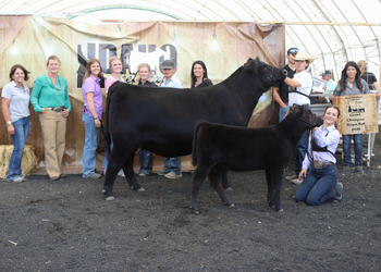 Grand Champion Cow-calf Pair