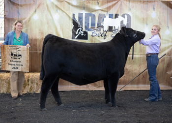 Reserve Grand Champion Owned Female