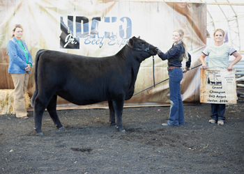 Grand Champion Bred-and-owned Female