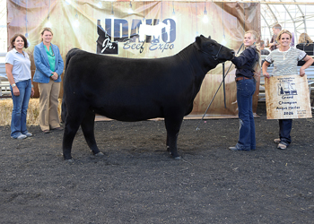 Grand Champion Owned Female