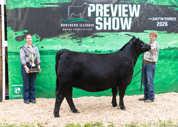 Grand Champion Bred-and-owned Female
