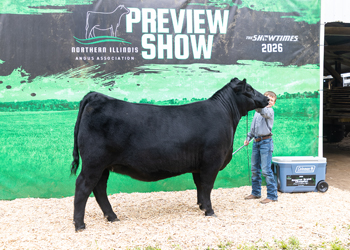 Reserve Grand Champion Bred-and-owned Female
