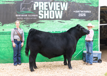 Reserve Grand Champion Steer