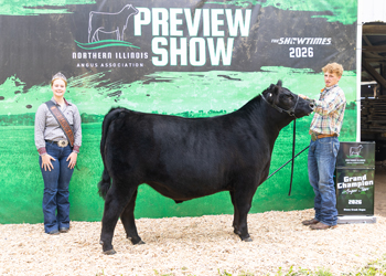 Grand Champion Steer