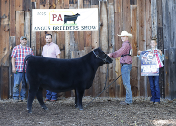 Reserve Grand Champion Female