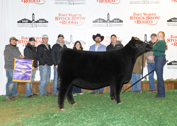 Grand Champion Female