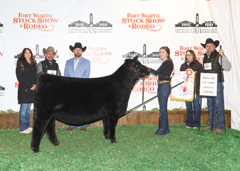 Reserve Grand Champion Female
