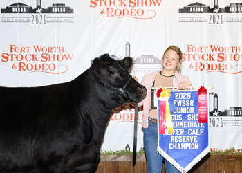 Reserve Intermediate Champion Heifer