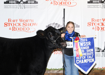 Intermediate Champion Heifer