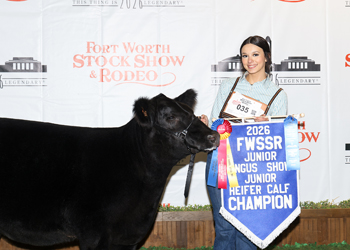Junior Heifer Calf Champion
