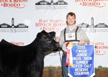 Reserve Summer Heifer Calf Champion