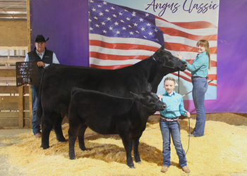 Grand Champion Cow-calf Pair