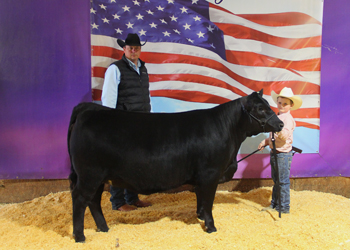 Reserve Grand Champion PGS Female
