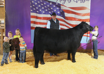 Grand Champion Female