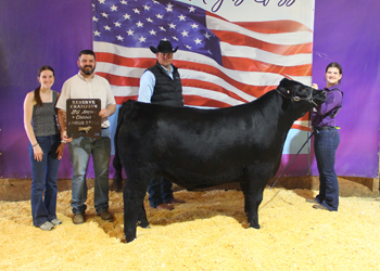 Reserve Grand Champion Steer