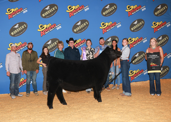 Grand Champion Female
