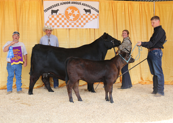 Grand Champion Cow-calf Pair
