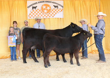 Reserve Grand Champion Cow-calf Pair