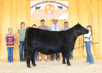 Grand Champion Owned Female