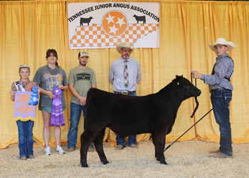 Reserve Grand Champion Bred-and-owned Bull