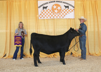 Grand Champion Bred-and-owned Female