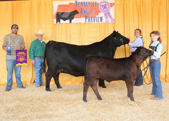 Grand Champion Cow-calf Pair