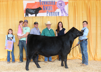 Reserve Grand Champion Female