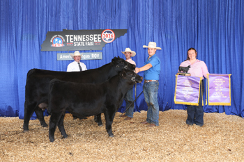 Grand Champion Cow-calf Pair