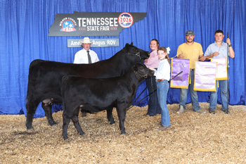 Reserve Grand Champion Cow-calf Pair
