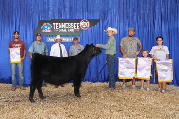 Reserve Grand Champion Female