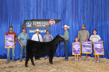 Grand Champion Female