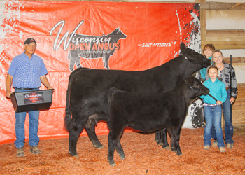 Grand Champion Cow-calf Pair