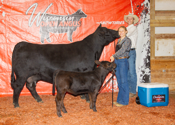 Reserve Grand Champion Cow-calf Pair