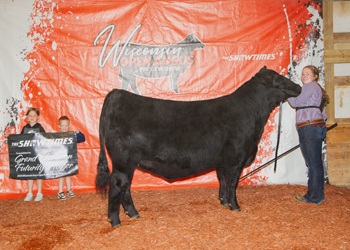 Champion Futurity Heifer