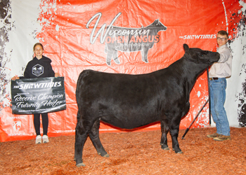 Reserve Champion Futurity Heifer