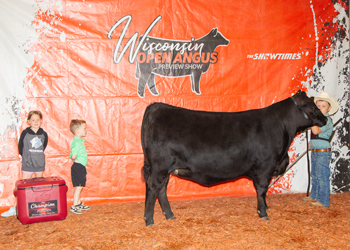 Reserve Grand Champion PGS Female
