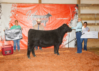 Reserve Grand Champion Female