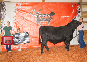 Reserve Grand Champion Steer