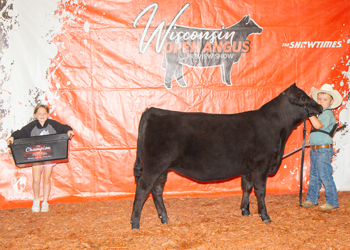 Grand Champion PGS Female