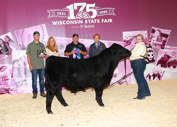 Reserve Grand Champion Bull