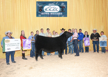 Grand Champion Female
