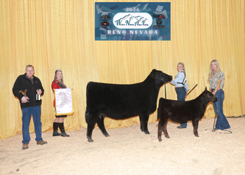 Reserve Junior Champion Heifer