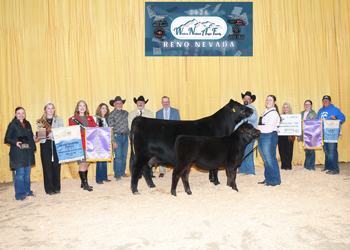 Grand Champion PGS Female