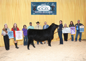 Reserve Grand Champion PGS Female