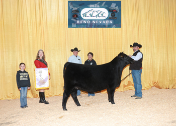 PGS Reserve Heifer Division 1
