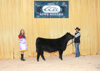 PGS Heifer Division 2