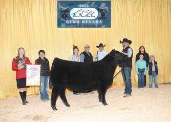 Reserve Junior Heifer Calf Champion Div 3