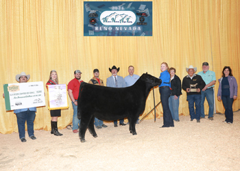 Reserve Grand Champion Female