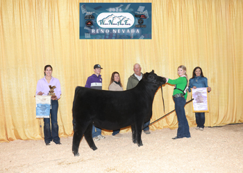 Reserve Summer Heifer Calf Champion