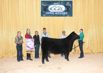 Junior Heifer Calf Champion Div 1